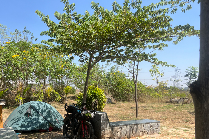 The Amoeba, the open-air lawn ringed by trees at Crossroads Getaway