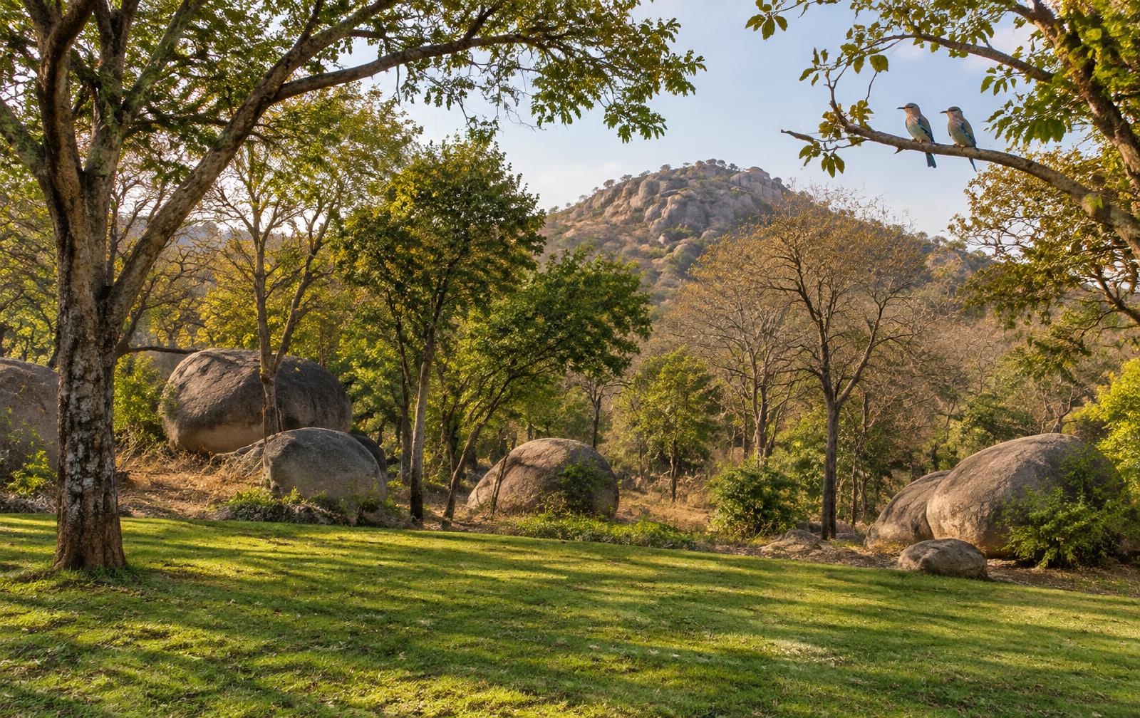 Open lawn, native trees and granite boulders at the retreat grounds
